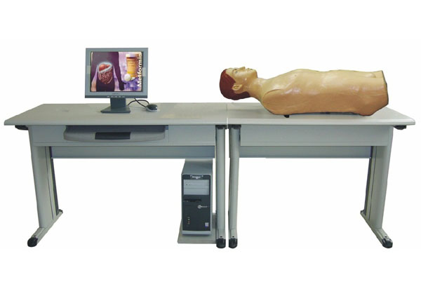 网络版智能化腹部检查教学系统（学生实验机）.jpg