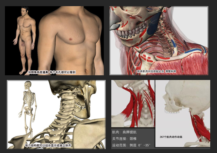 人体解剖软件图1.png