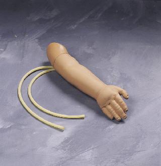 婴儿动脉训练手臂.jpg