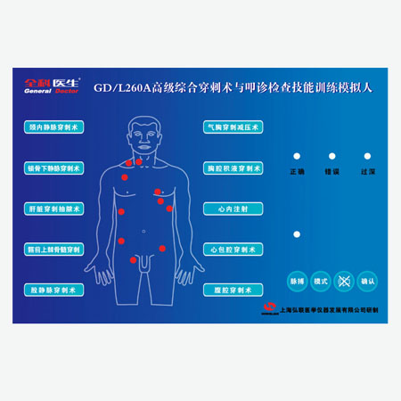 L260A高级综合穿刺术与叩诊检查技能训练模拟人4.jpg