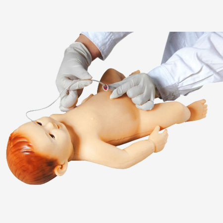 高级婴儿护理模型1.jpg