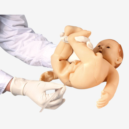 高级婴儿护理模型2.jpg