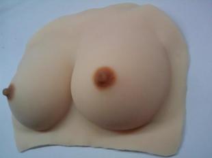 女性乳房模型.jpg