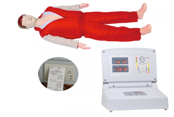 这是一款医学模型厂家最普及的产品.jpg