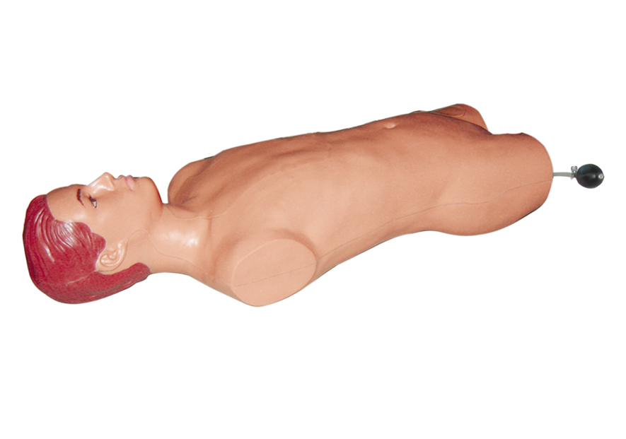 腹腔与股静脉穿刺模型.jpg