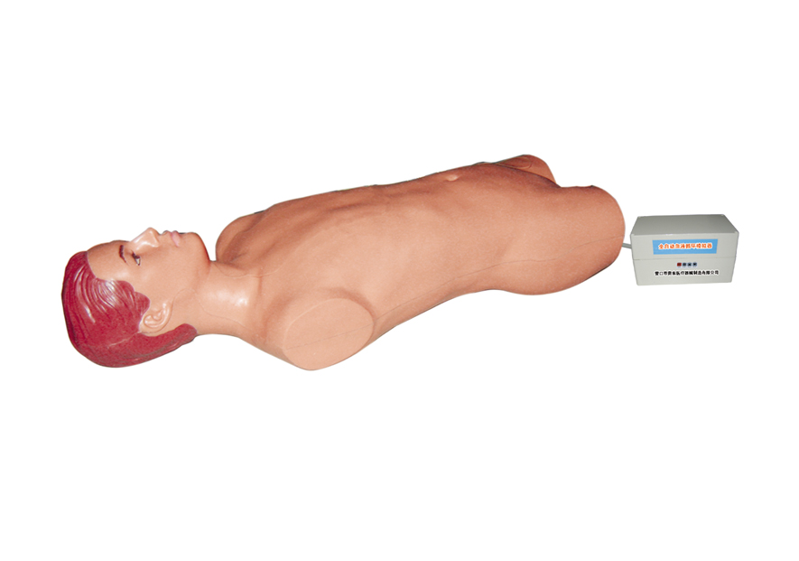 腹腔与股静脉穿刺电动模型.jpg