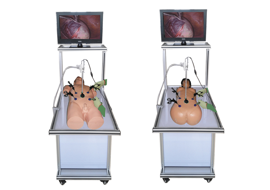 高仿真腹腔镜手术技能训练人体模型.jpg